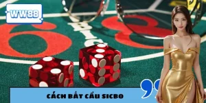 Cách bắt cầu sicbo