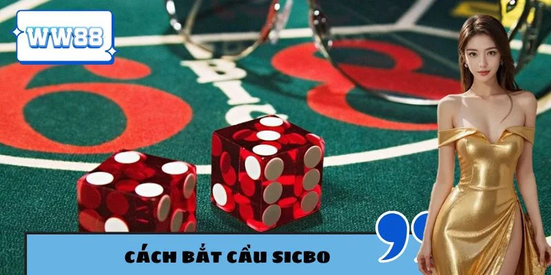 Cách bắt cầu sicbo