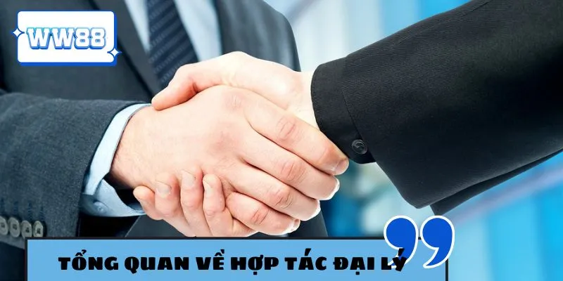 Giới thiệu chính sách đại lý WW88