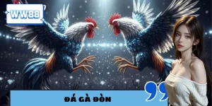 Đá gà đòn
