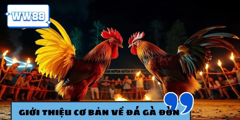 Tìm hiểu cơ bản về sân chơi gà đòn