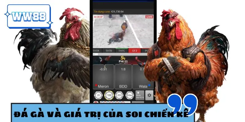 Giới thiệu tổng quan về sảnh đá gà WW88